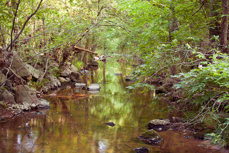 Crooked Run Creek, Durham, NC