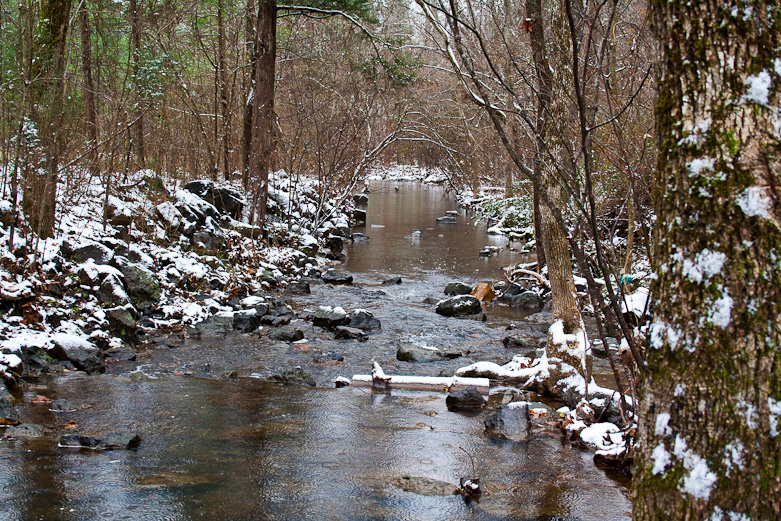 Crooked Run Creek, Durham, NC