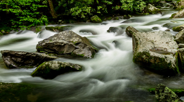 Big Creek Great Smoky Mountain National Park